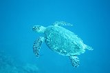 Curacao 04-12 508